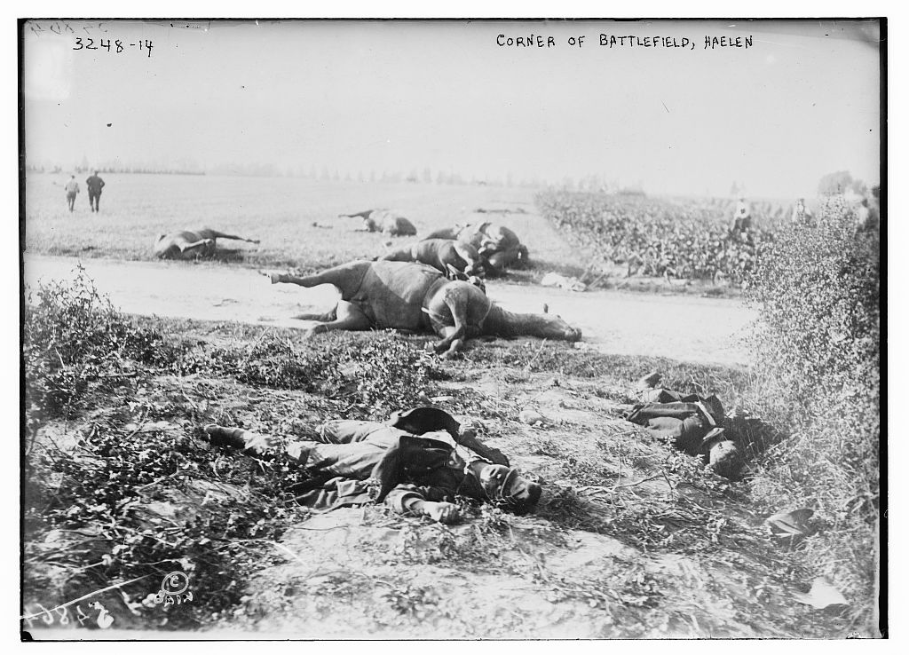 Battlefield at Haelen, Belgium, 1914